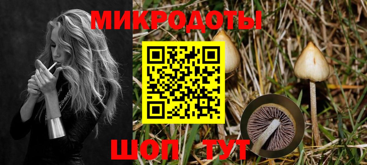 Псилоцибиновые грибы мицелий  Вход с VPN  Армавир 