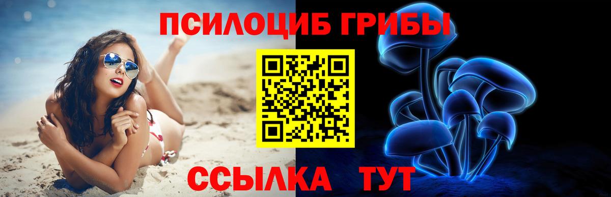Галлюциногенные грибы прущие грибы Армавир